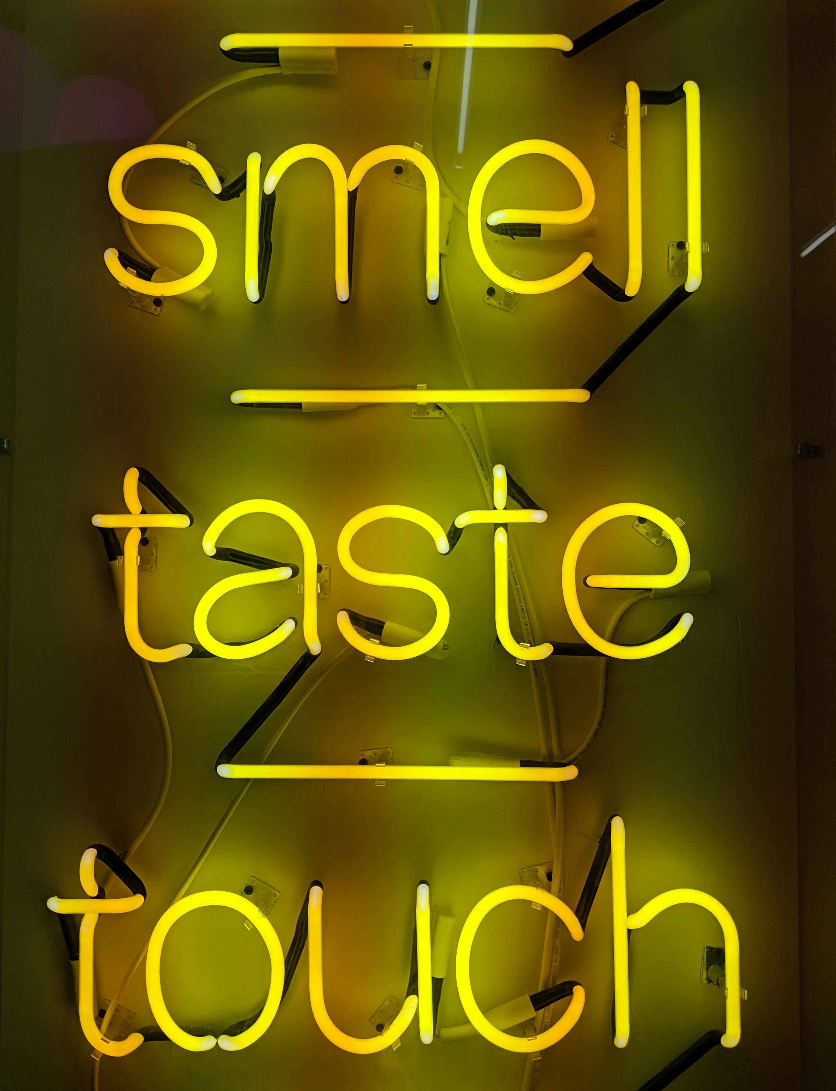Neon sign reading smell, taste, touch — three of the eight sensory systems